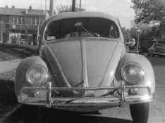 1952 Volkswagen