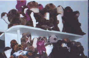 2 shelves of otters