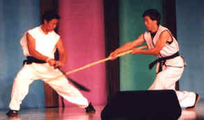 martial arts with staff